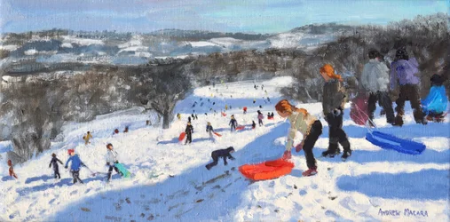 La luge rouge, Allestree Park, Derby, 2016
