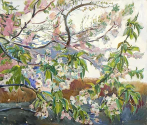 Branches de cerisier en fleurs