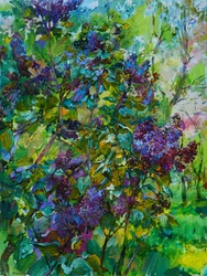 Des lilas violets en fleurs