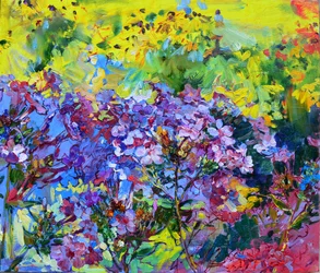 Jardin fleuri et coloré