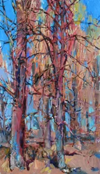 Arbres colorés de la forêt
