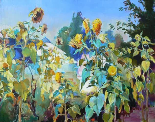 Tournesols dorés d