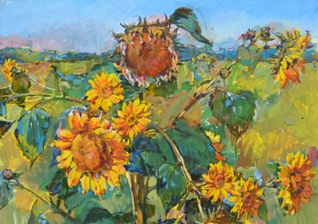 Champ de tournesols dorés