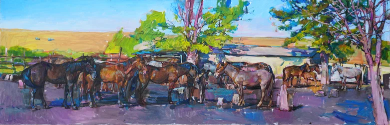 Les chevaux à l