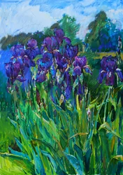 Le Jardin des Iris pourpres