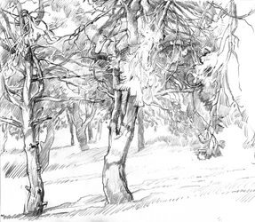 Dessin d