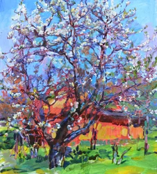 Un arbre en fleurs au printemps