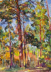 Une forêt de pins baignée de soleil