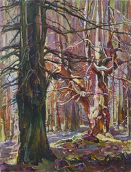 Une forêt hivernale baignée de soleil