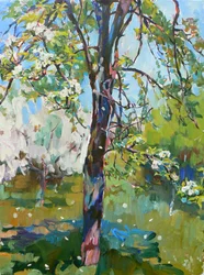 Fleurs printanières sous le soleil