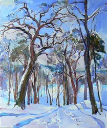 Sentier forestier ensoleillé en hiver