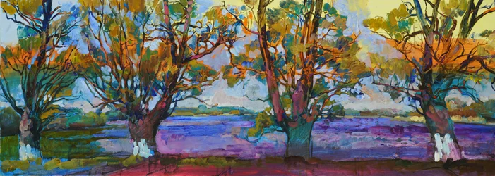 Les arbres aux couleurs chatoyantes de l