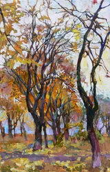 Les bois aux couleurs chatoyantes de l