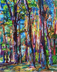 Lumière éclatante de la forêt