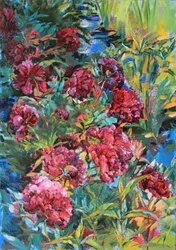 Fleurs éclatantes du jardin