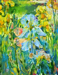 Jardin d