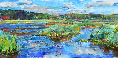 Paysage marécageux plein de vie