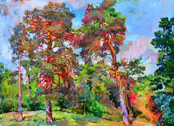 Une forêt de pins pleine de vie