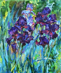Des iris d