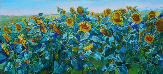 Un champ de tournesols aux couleurs éclatantes