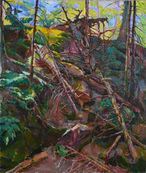 Lumière de la forêt sauvage