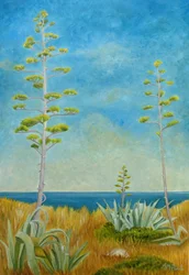 Agave au bord de l