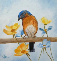 Un merle bleu au milieu des fleurs