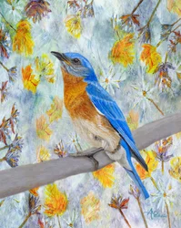 Un merle bleu parmi les fleurs