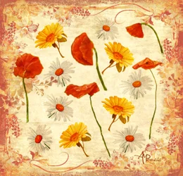Coquelicots et marguerites joyeux