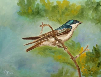 Hirondelle perchée aux couleurs vives