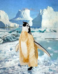 Le pingouin curieux : la glace de l