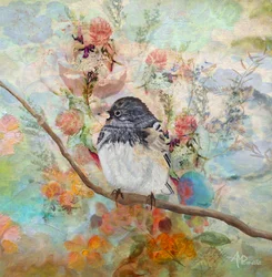Oiseau de jardin de rêve