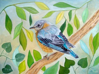 Douce oiseau des bois
