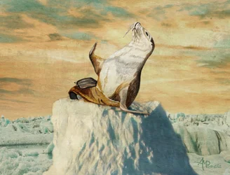 Salutations de l