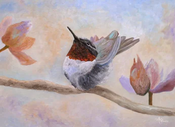 Un colibri parmi les fleurs