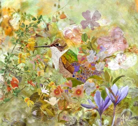 Fleurs pour le jardin des colibris
