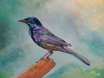 Oiseau perché irisé