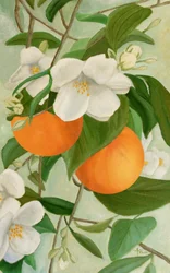 Branche de fleur d
