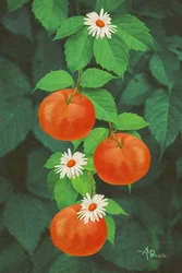 Fruits orange et marguerites