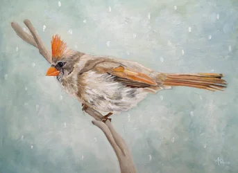 Un cardinal en hiver, dans la sérénité