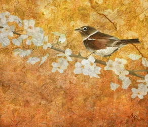 Fleurs printanières et oiseaux