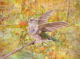 Danse de printemps