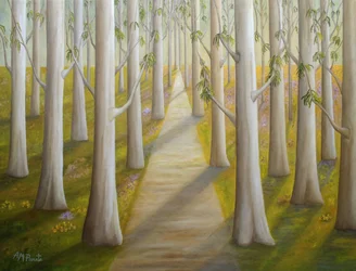Sentier forestier ensoleillé