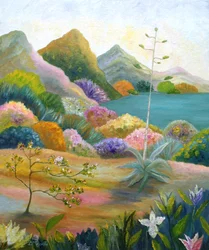 Un paysage désertique éclatant