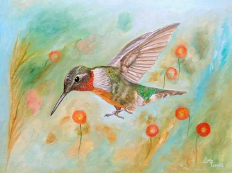 Colibri du jardin aux couleurs vives