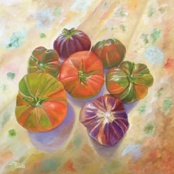 Des tomates anciennes aux couleurs éclatantes