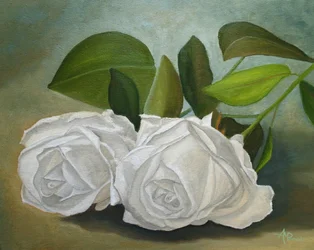 Roses blanches