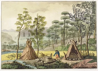 Coutumes funéraires, Nouvelle-Hollande, planche 63 de 