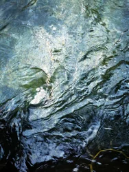 Ondulations aquatiques