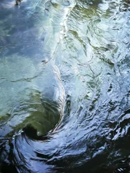 Tourbillon en eaux profondes
